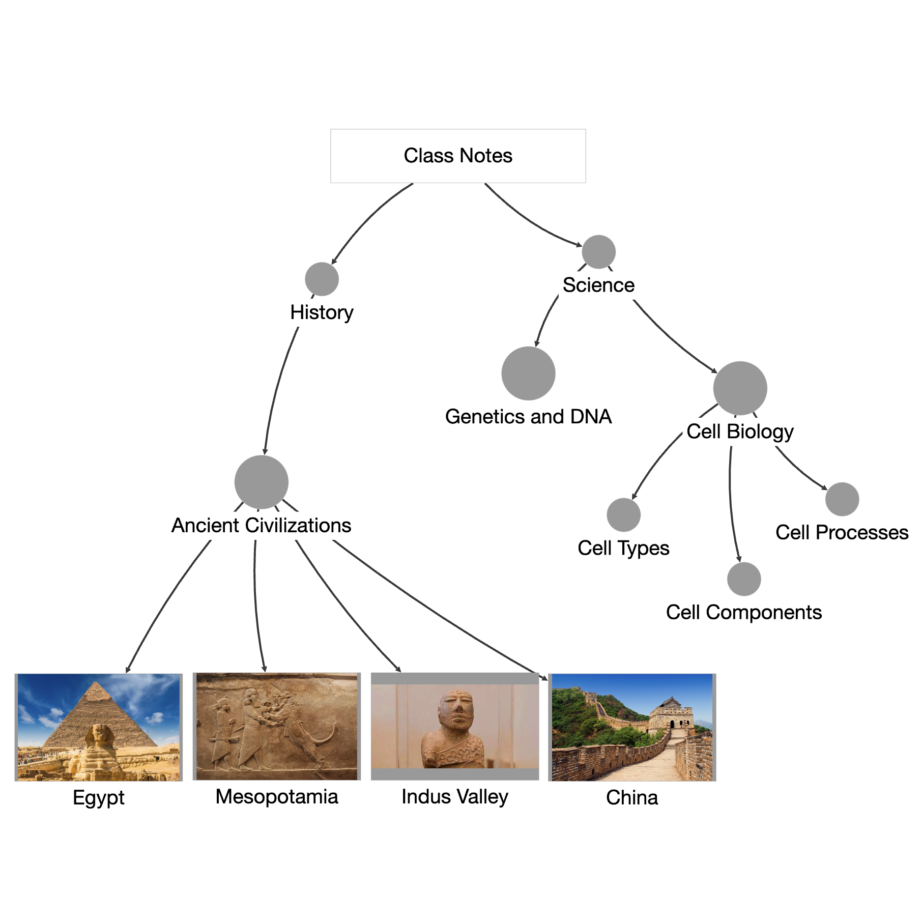 Turn Your Notes into Interactive Mind Maps